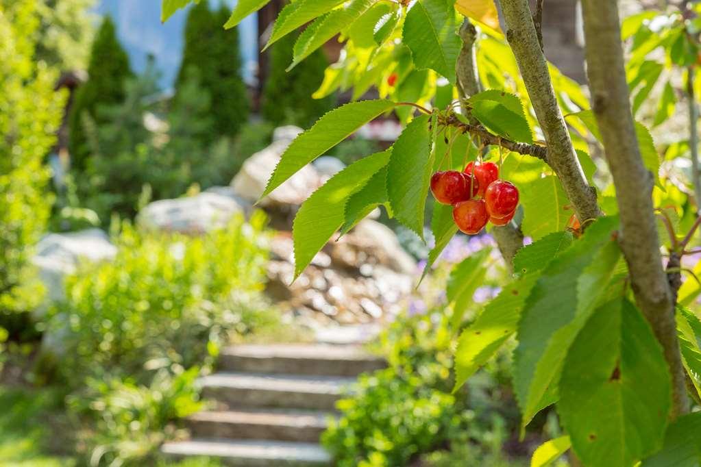 Chalet-Hotel Hermitage シャモニー エクステリア 写真